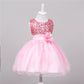 Baby Sequin Flower Girl Wedding Princess Dress