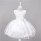 Baby Sequin Flower Girl Wedding Princess Dress