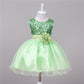 Baby Sequin Flower Girl Wedding Princess Dress