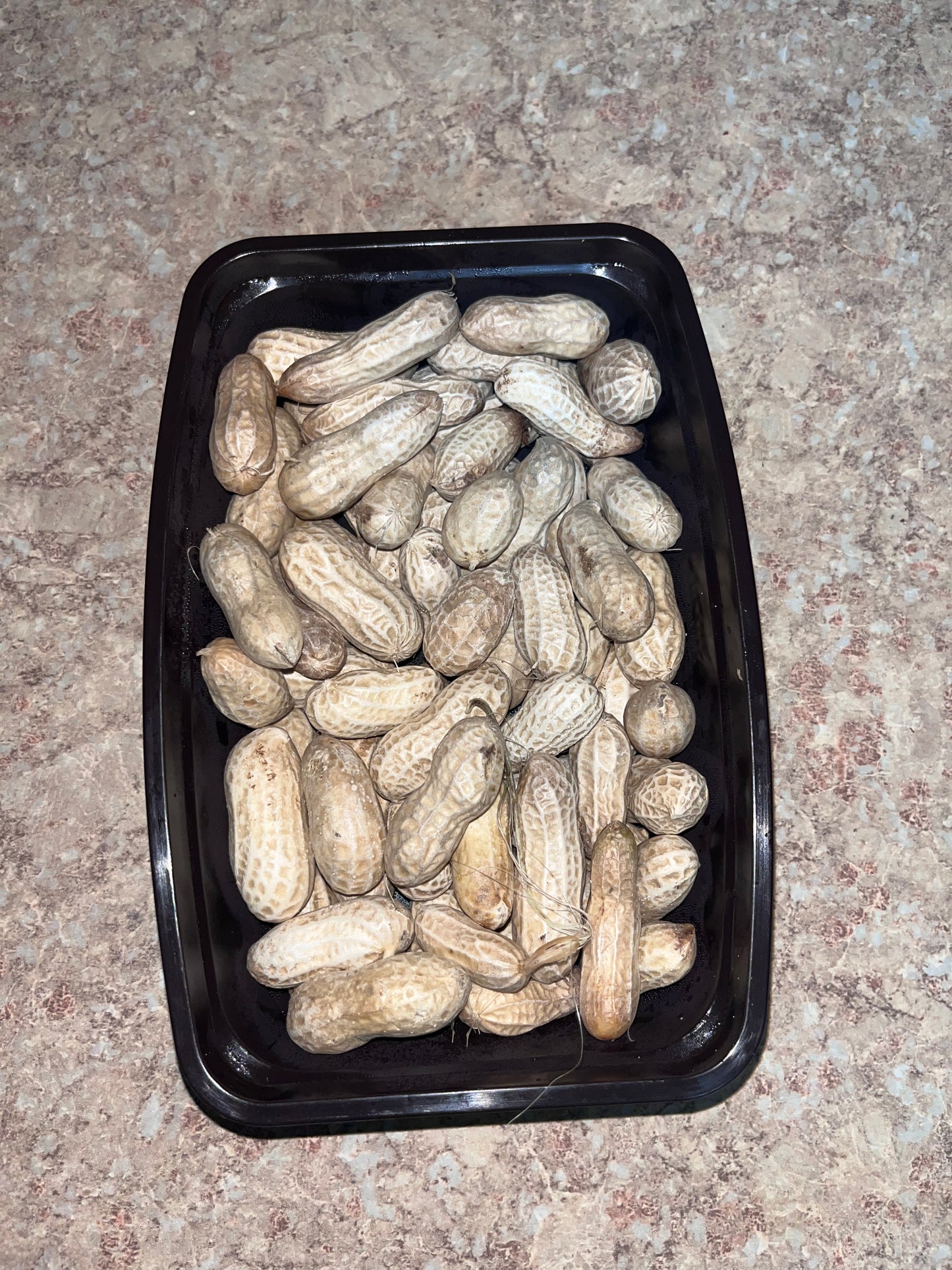 Boiled Groundnuts/Steamed Peanut With Shell On