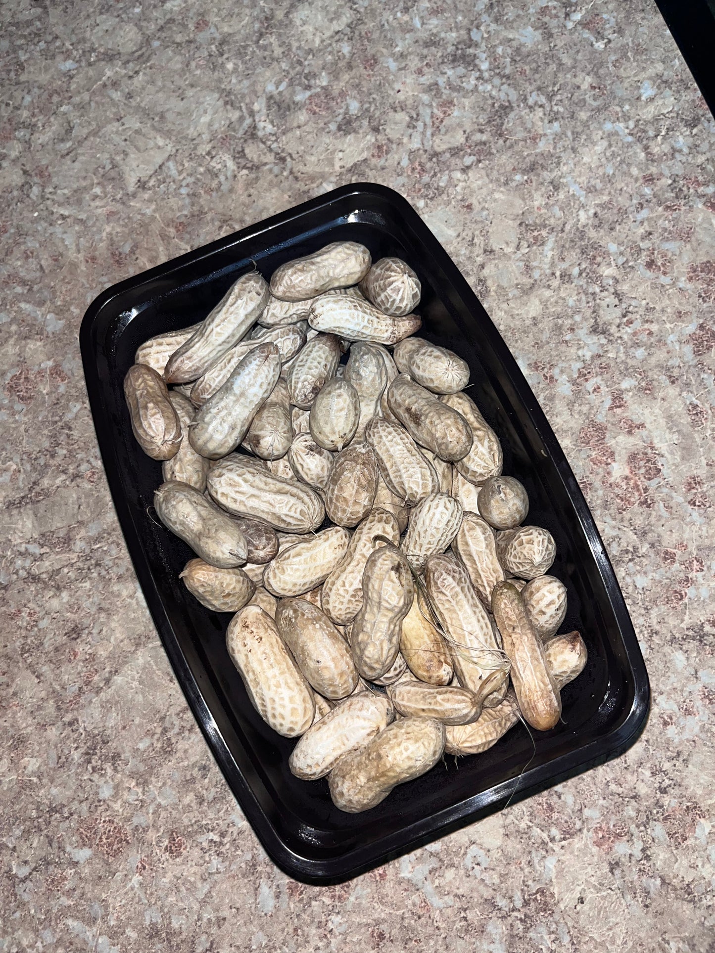 Boiled Groundnuts/Steamed Peanut With Shell On