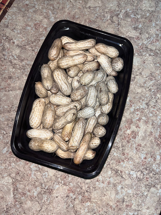 Boiled Groundnuts/Steamed Peanut With Shell On