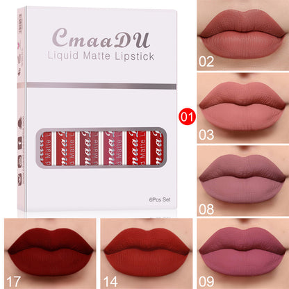 Matte Non-stick Cup Waterproof Lipstick