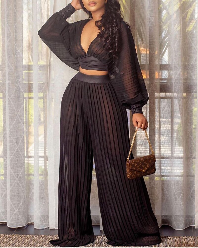 Pleated Wide-leg Pants Two-piece